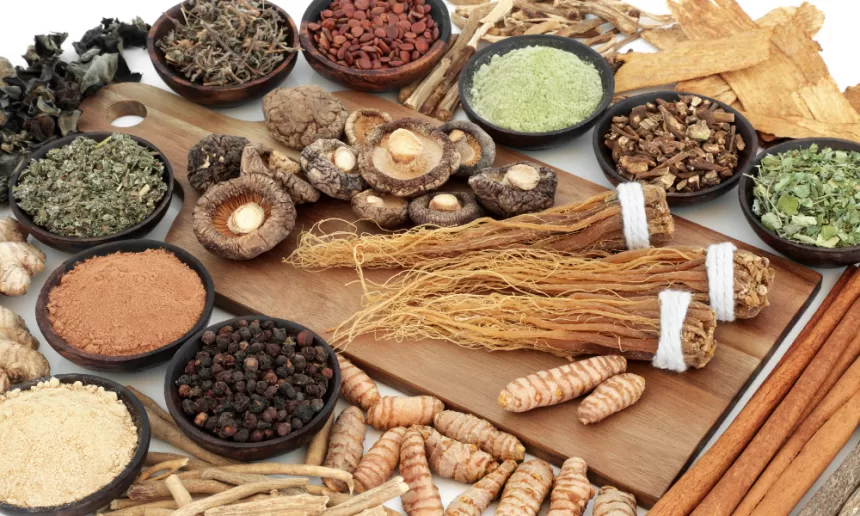 A group of adaptogenic herbs, such as ashwagandha, ginseng, and holy basil, on a wooden table set against a wood background.