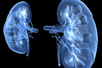 Artificial Kidney Revolution