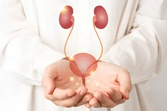 A person holds a kidney in their hands, symbolizing the impact of bladder cancer surgery on organ health.