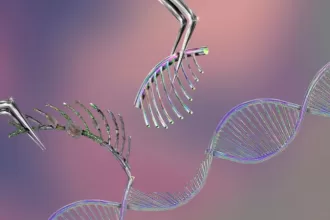 CRISPR Gene Editing
