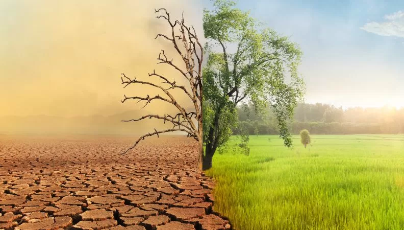 Climate Change Global Health