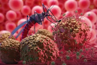 Georgia Malaria Free Status by WHO