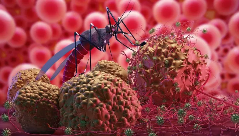 Georgia Malaria Free Status by WHO