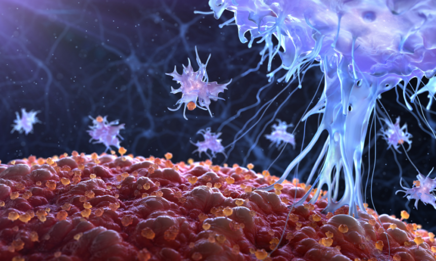 Illustration of the human immune system showing white blood cells, lymph nodes, and antibodies fighting pathogens.