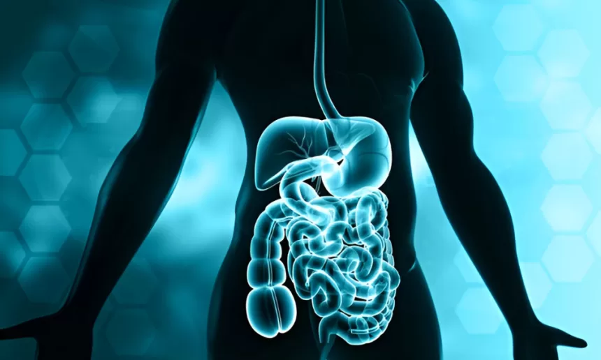 An anatomical illustration of the human body highlighted in blue, focusing on the area of intestinal atresia repair.