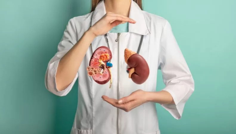 Kidney Transplant Surgery Duration