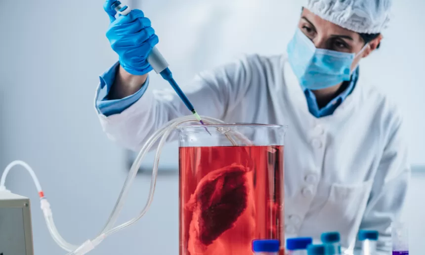 An extreme close-up of lab-grown meat, laid out on a white plate with an overhead view of a lab background.