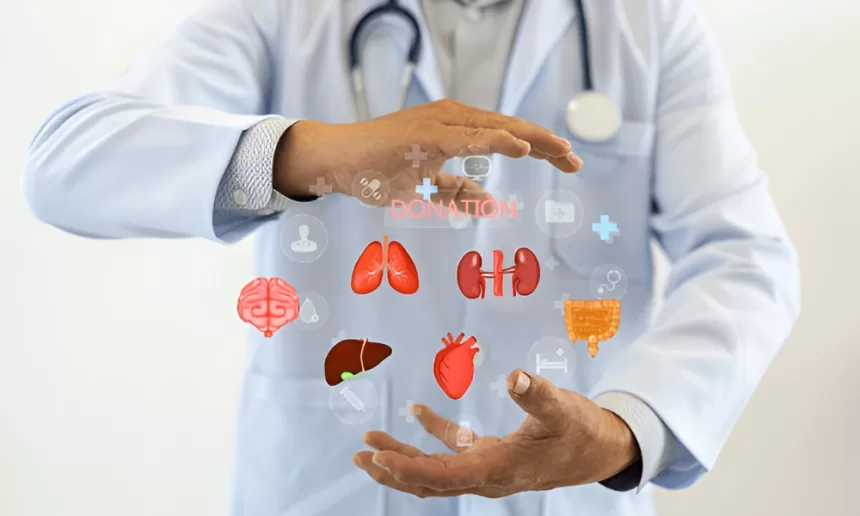 A doctor displays a virtual heart image, highlighting advancements in organ transplantation technology.