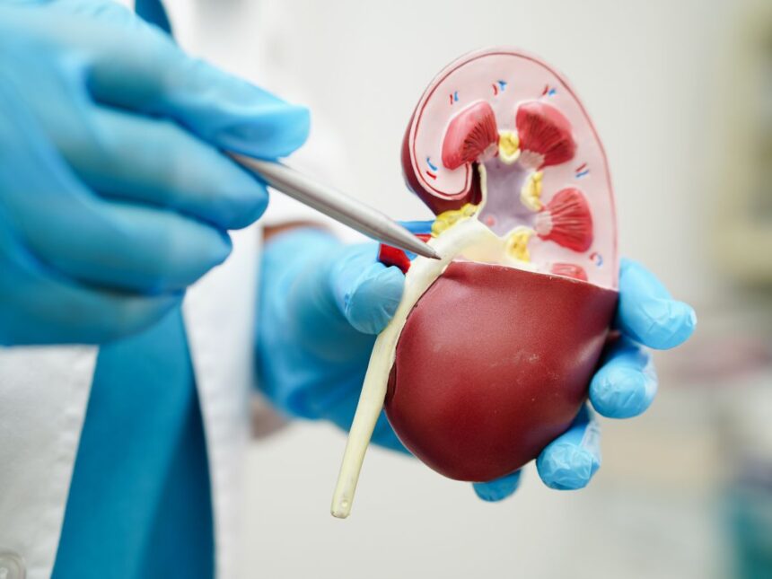 Removing kidney stones surgery procedure