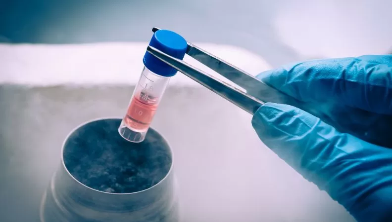 Advancements in Organ Transplantation