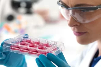 Stem Cell Therapy in Medicine