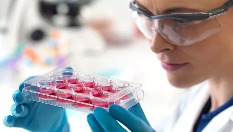 Stem Cell Therapy in Medicine