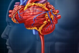 Stress and heart risks