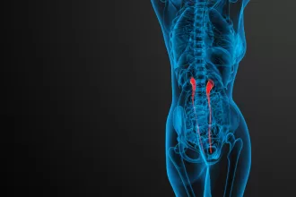 Illustration of a human body with the spine highlighted, emphasizing the role of ureteroscopy in medical diagnostics.