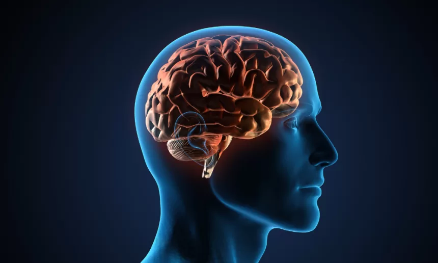 Medical illustration of a Brain Hemorrhage Shot treatment, showing the injection process for brain hemorrhage patients.