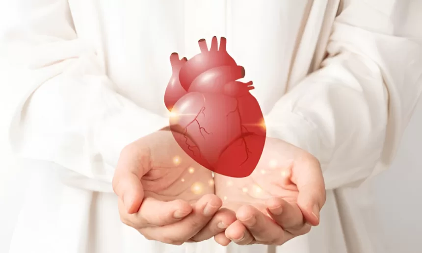 A visual representation of heart transplant costs, featuring a medical professional holding a heart model and a cost comparison chart.